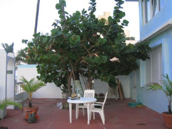 Aleli By The Sea Guest House San Juan Dış mekan fotoğraf